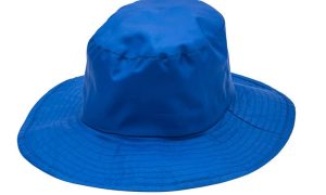 Blue Wide Brimmed Hat