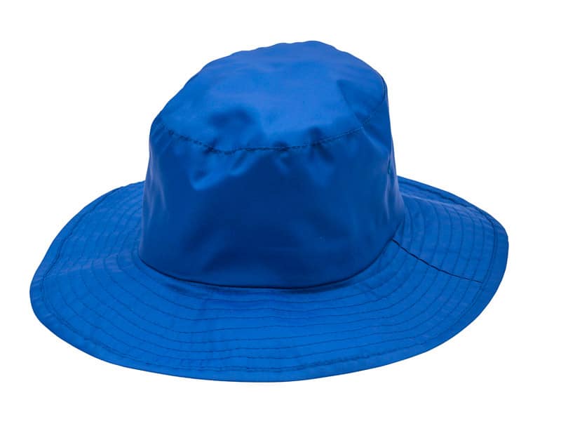 Blue Wide Brimmed Hat