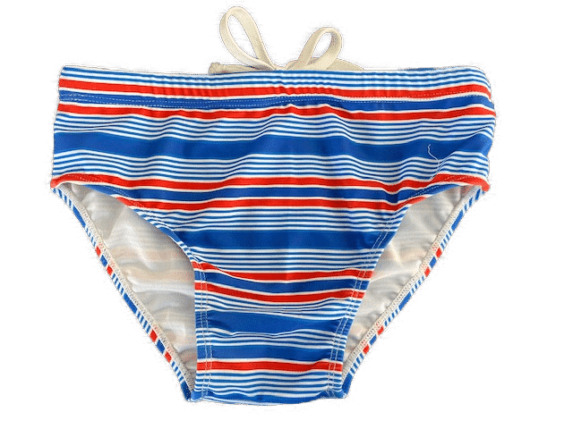 Striped Speedo for Men South Africa